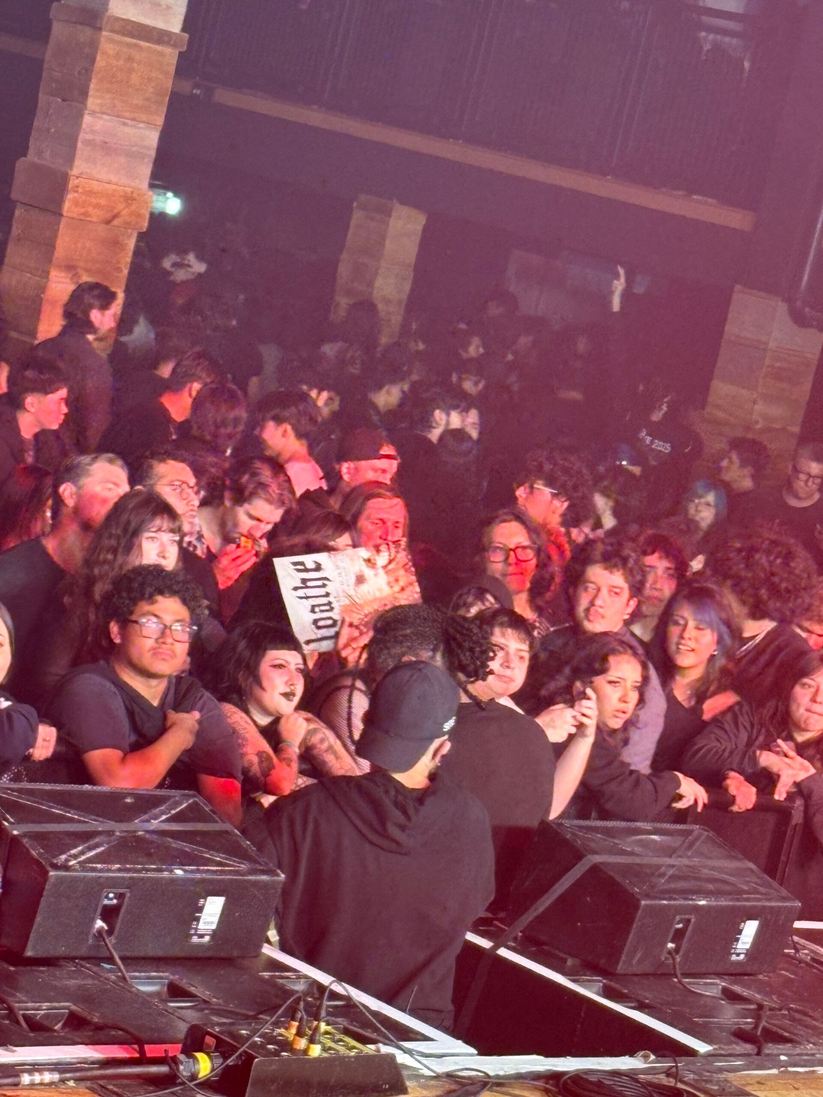 crowd of loathe fans